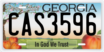 GA license plate CAS3596