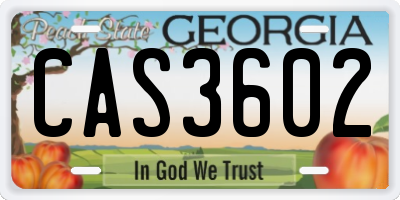 GA license plate CAS3602