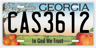 GA license plate CAS3612
