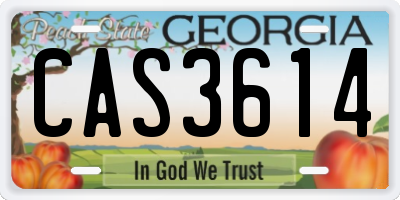 GA license plate CAS3614