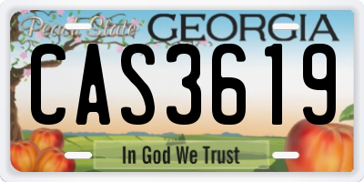 GA license plate CAS3619