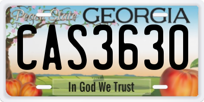 GA license plate CAS3630