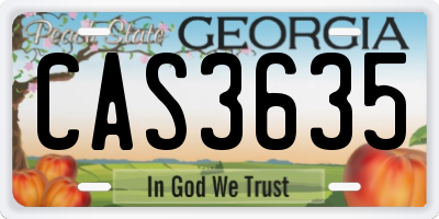 GA license plate CAS3635