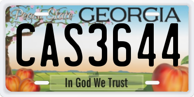 GA license plate CAS3644