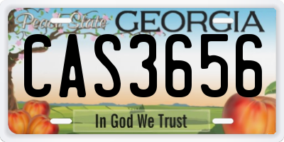 GA license plate CAS3656