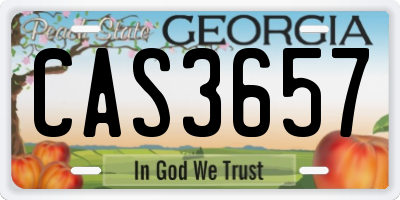 GA license plate CAS3657