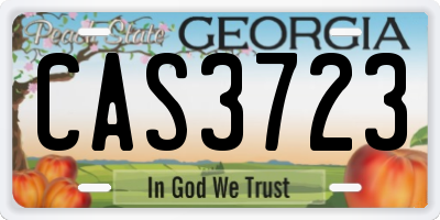 GA license plate CAS3723