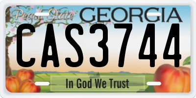 GA license plate CAS3744