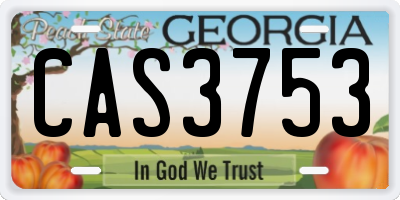 GA license plate CAS3753