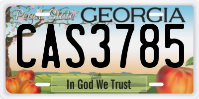 GA license plate CAS3785