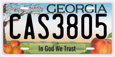 GA license plate CAS3805