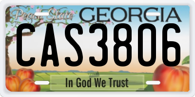GA license plate CAS3806