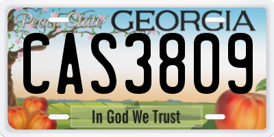 GA license plate CAS3809