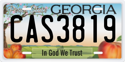 GA license plate CAS3819