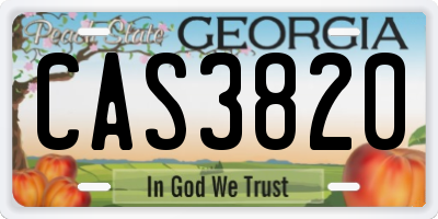 GA license plate CAS3820