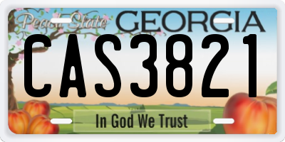 GA license plate CAS3821