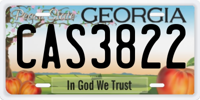 GA license plate CAS3822