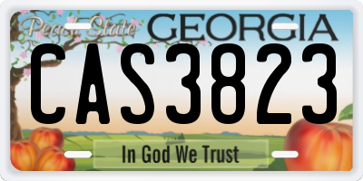 GA license plate CAS3823