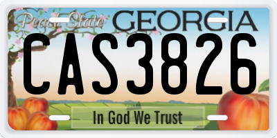 GA license plate CAS3826