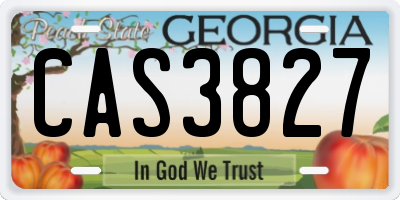GA license plate CAS3827