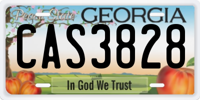 GA license plate CAS3828