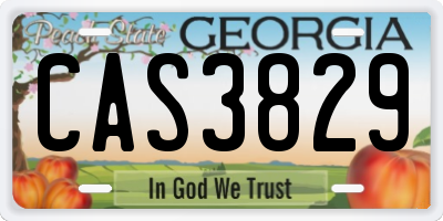 GA license plate CAS3829