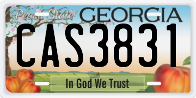 GA license plate CAS3831