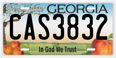 GA license plate CAS3832