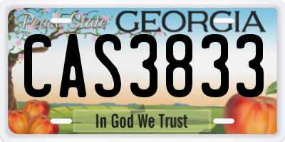 GA license plate CAS3833