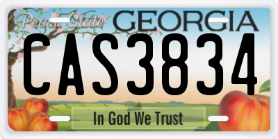 GA license plate CAS3834