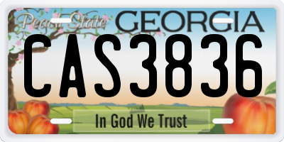 GA license plate CAS3836