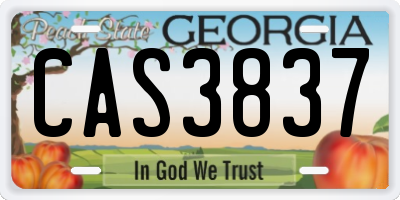 GA license plate CAS3837