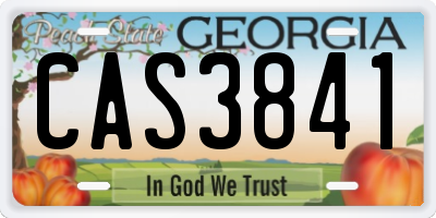 GA license plate CAS3841