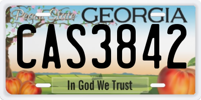 GA license plate CAS3842