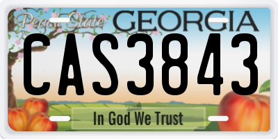 GA license plate CAS3843