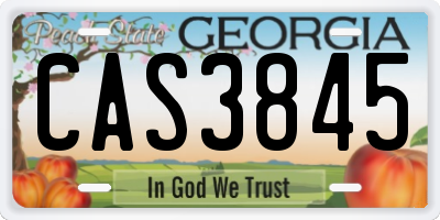 GA license plate CAS3845