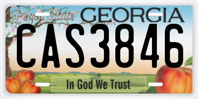 GA license plate CAS3846