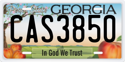 GA license plate CAS3850