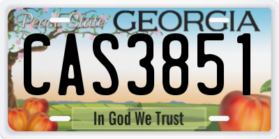 GA license plate CAS3851