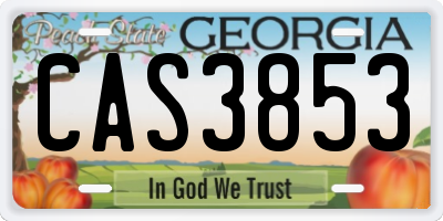 GA license plate CAS3853