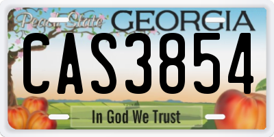 GA license plate CAS3854