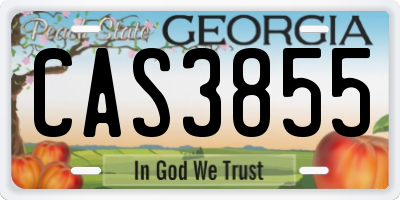 GA license plate CAS3855