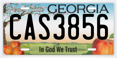 GA license plate CAS3856