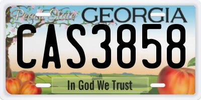 GA license plate CAS3858
