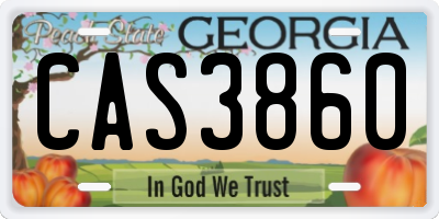 GA license plate CAS3860