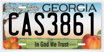 GA license plate CAS3861