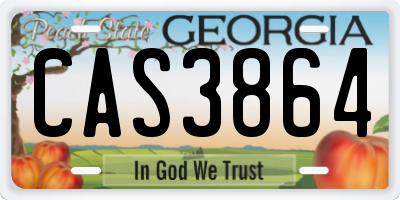 GA license plate CAS3864