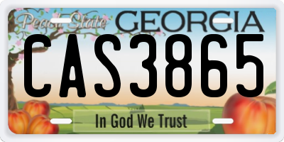 GA license plate CAS3865