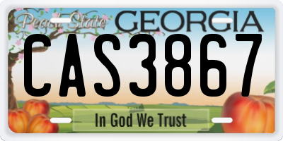 GA license plate CAS3867