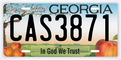 GA license plate CAS3871